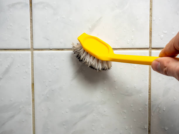 Best Post-Remediation Services in Marshall, MI