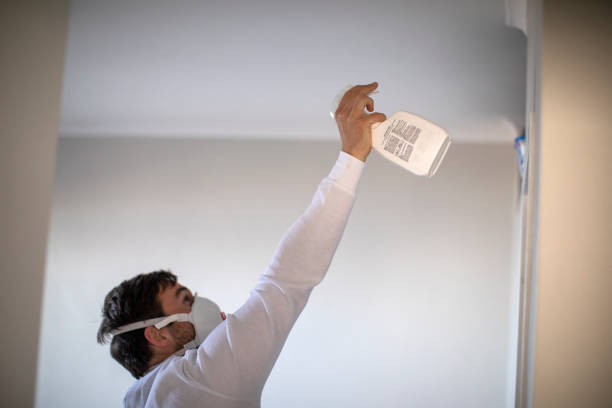 Best Health and Safety Mold Remediation in Marshall, MI